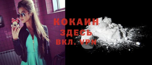 герыч Няндома