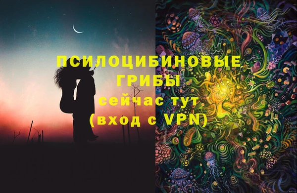 герыч Няндома