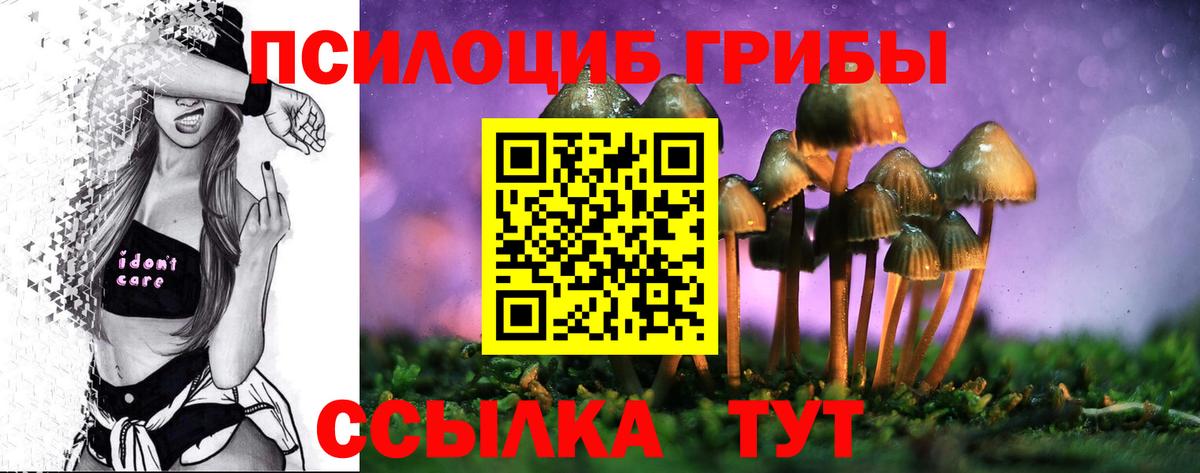 Приморско-Ахтарск  Псилоцибиновые грибы MAGIC MUSHROOMS  Галлюциногенные грибы Magic Shrooms  Вход с VPN 