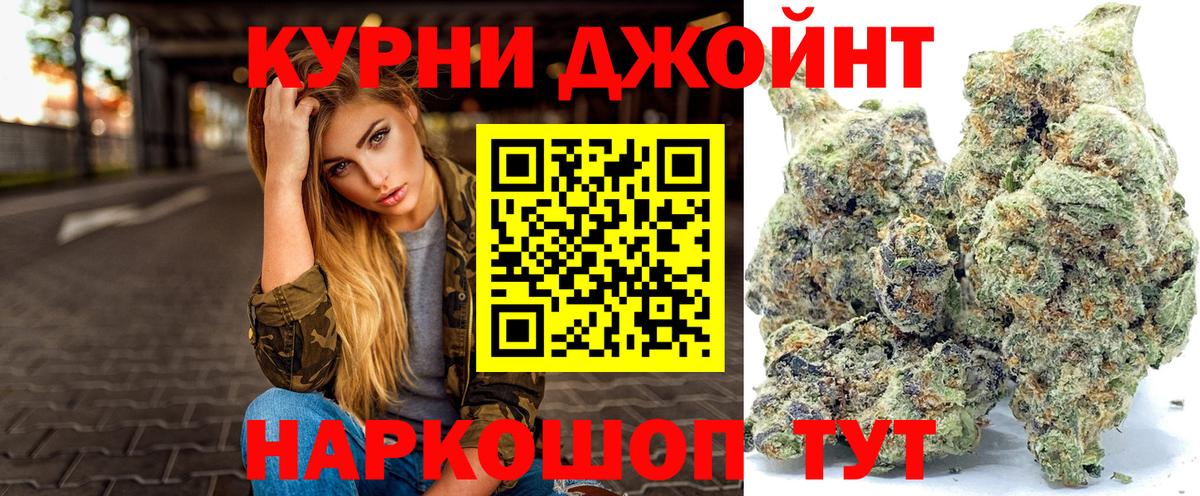 Бошки Шишки план Приморско-Ахтарск